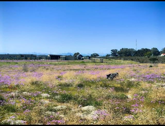 LAND FOR SALE IN HARTEBEESFONTEIN